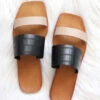 Mixed Two Strap Band Sandals-Nude And Black